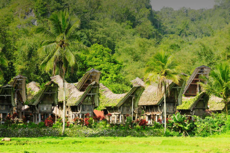 Traditional Tongkonan houses in Kete Kesu cultural village, Toraja, South Sulawesi
