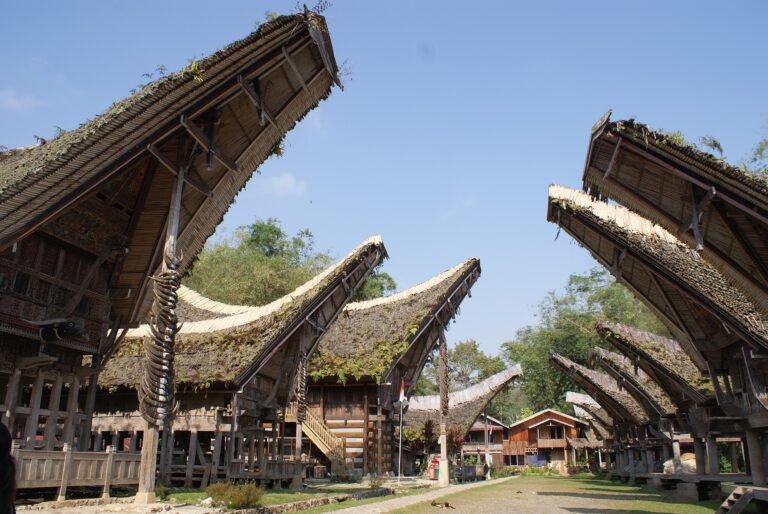 Traditional Tongkonan houses in Kete Kesu Toraja